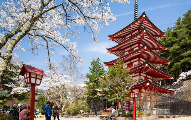 Travel in Japan: A Guide to an Unforgettable Journey